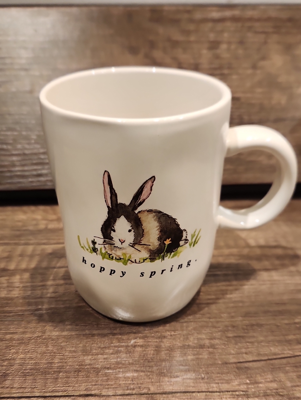 EUC Rae Dunn White Ceramic Bunny Mug with Spring Illustration